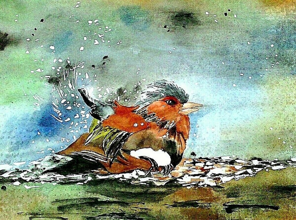 LES OISEAUX, Libéllules, etc